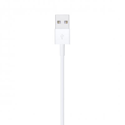 Lightning to USB Cable (0.5 m)