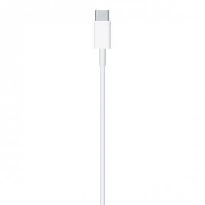 USB-C to Lightning Cable (1 m)