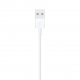 Lightning to USB Cable (0.5 m)