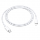 USB-C to Lightning Cable (1 m)